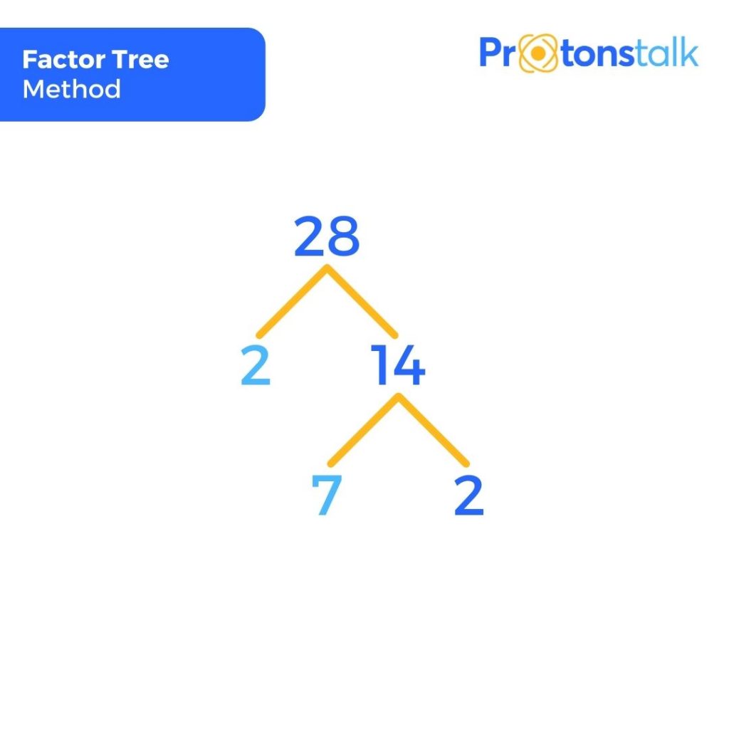 Factor tree method to find the factors of 28