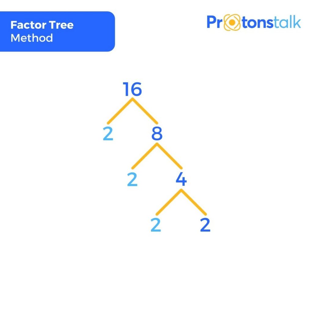 Factor tree method to find prime factors of 16