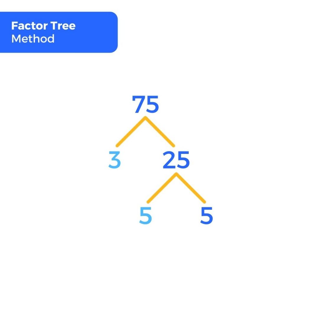 Factor tree method to find prime factors of 75