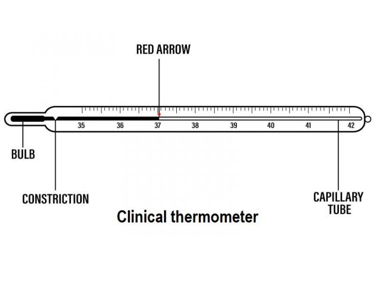 Clinical Thermometer Working, Range, Diagram ProtonsTalk