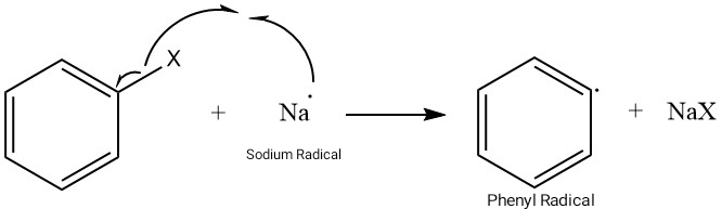 Step-1 of Free Radical Mechanism - Fittig Reaction