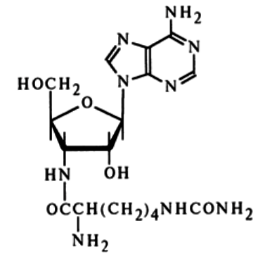 Homocitrullylaminoadenosine