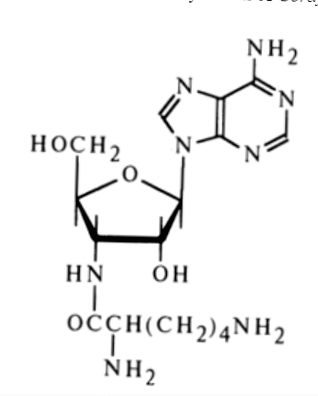 Lysylaminoadenosine