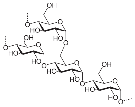 Amylopectin Structure - Starch Vs Cellulose