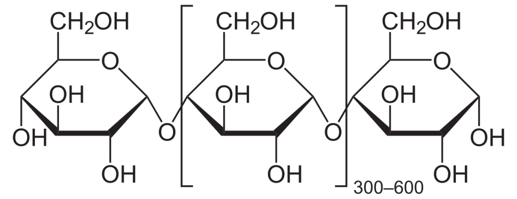 Amylose Structure - Starch Vs Cellulose